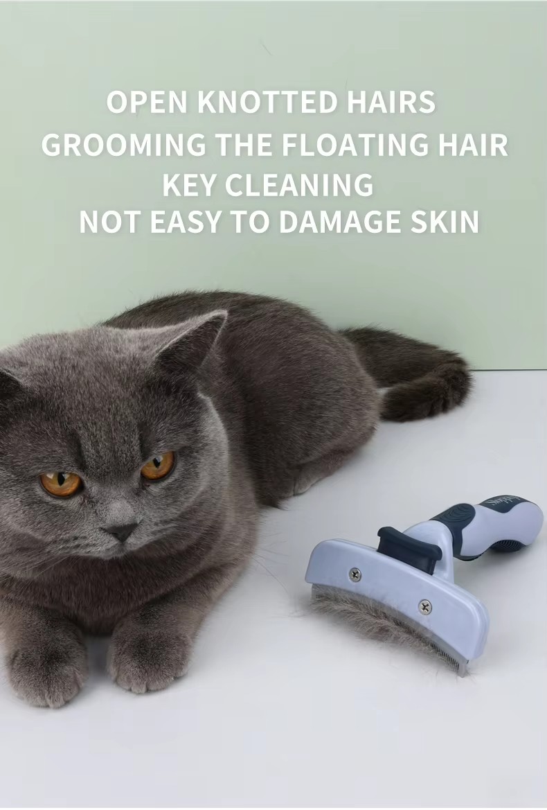 Gary Pet Brush&Comb