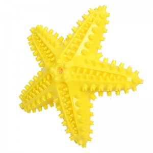 Durevole elastico Star Squeaky Pet Dog Molar Bite Activity Toys Spazzolino da denti giocattolo da masticare