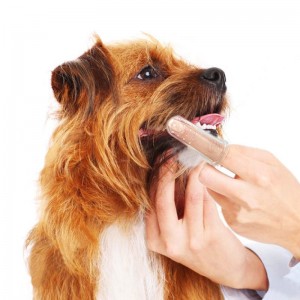 Escova de dentes de dedo para cachorro e gato