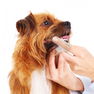 Cat Dog Finger Toothbrush