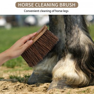 Custom Logo Coconut Fiber Wooden Horse Massage Grooming Brush