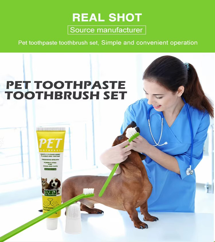Factory Wholesale 3 in 1 Dog Dental Care Pet Cat Dog Toothbrush Set (6)