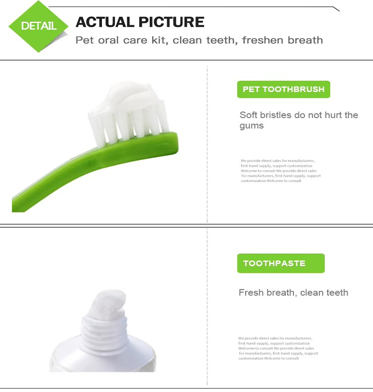 Factory Wholesale 3 in 1 Dog Dental Care Pet Cat Dog Toothbrush Set (8)