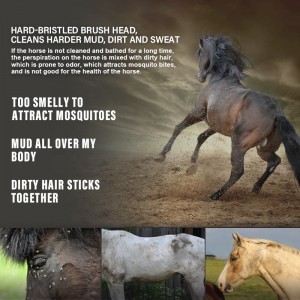 Factory Wholesale Custom Logo Wooden Horse Grooming Brushes