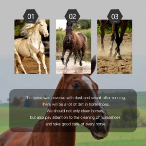 Horse Hoof Hook Goats Hoof Pick Cattle Hoof Trimmer with Brush