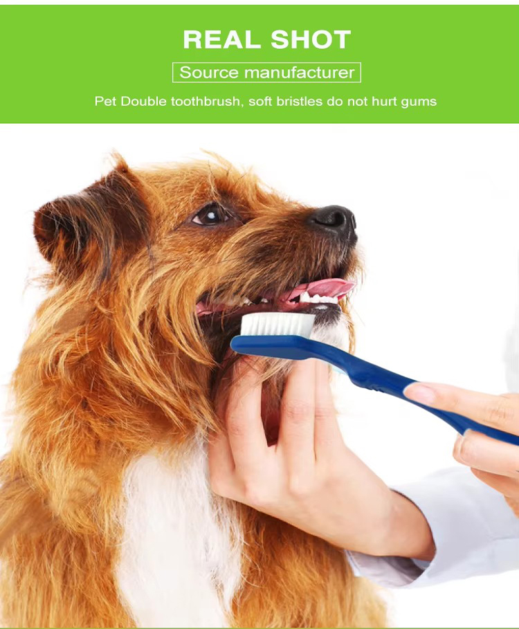 Pet Cat Dog Dental Care Toothbrush for Dogs (8)