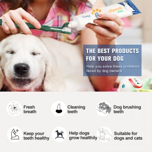 Factory Wholesale 75g Vanilla/Beef Flavour Dog Dental Care Pet Cat Dog Toothpaste