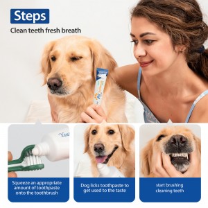 Factory Wholesale 75g Vanilla/Beef Flavour Dog Dental Care Pet Cat Dog Toothpaste