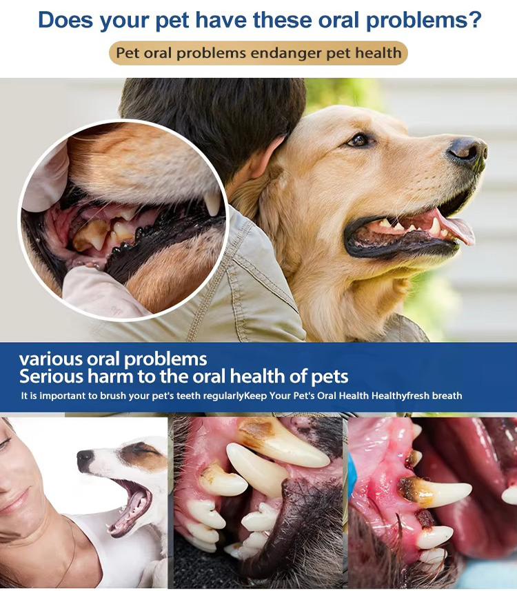 Pet Cat Dog Toothpaste (7)