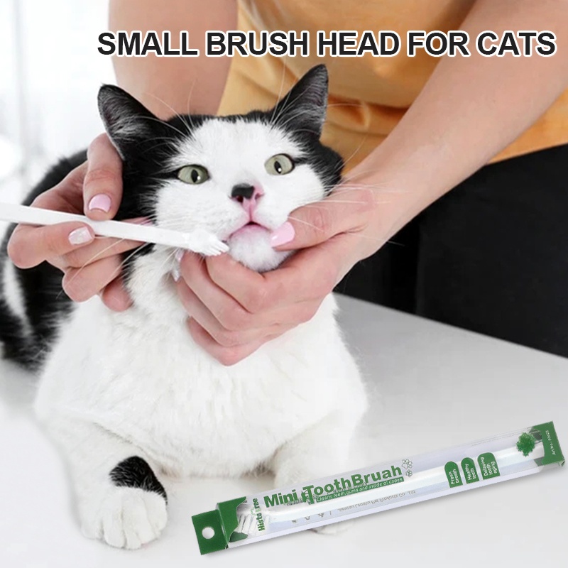 プラスチック製小型ペット用歯ブラシ 猫犬用歯ブラシ (4)