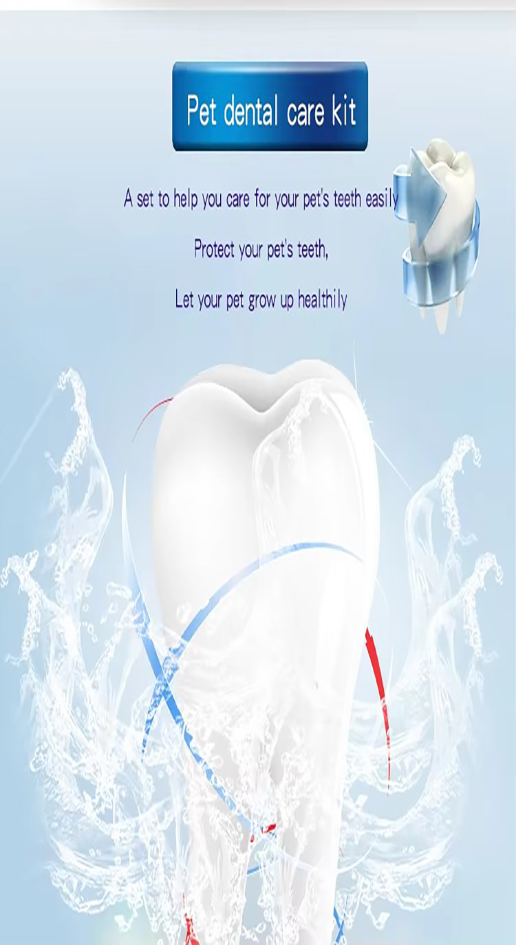 Toothpaste Dog Toothbrush (10)