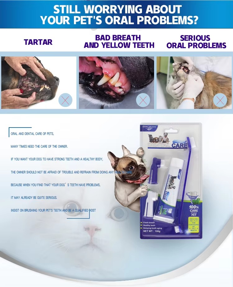Toothpaste Dog Toothbrush (11)
