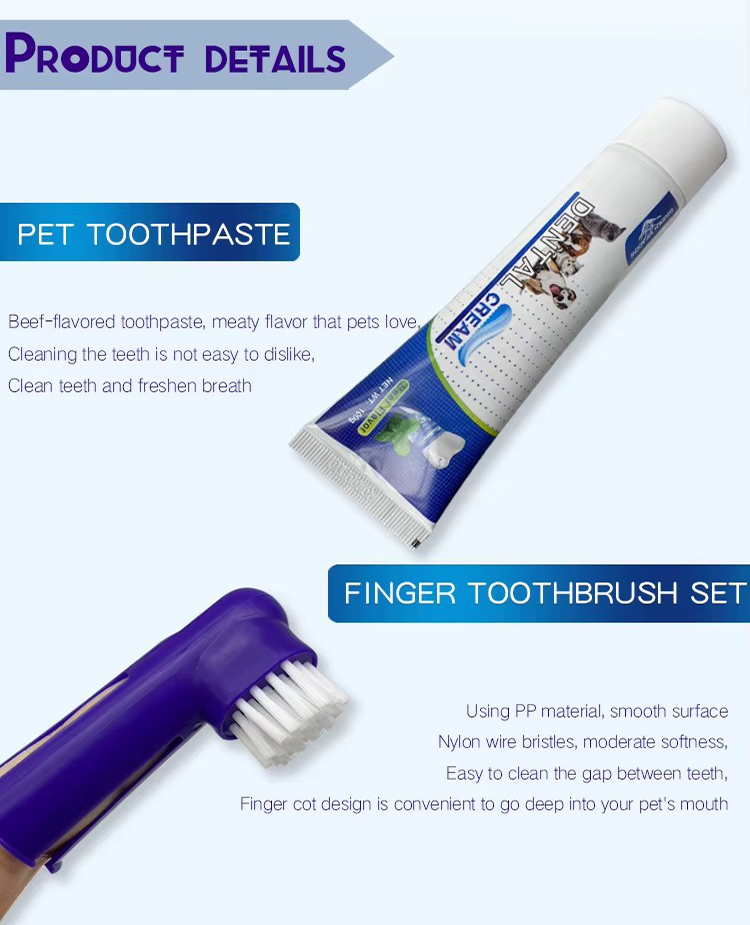 Toothpaste Dog Toothbrush (12)